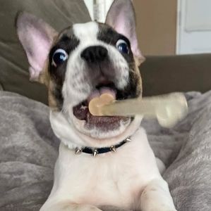 Meet your Posher, Jaime